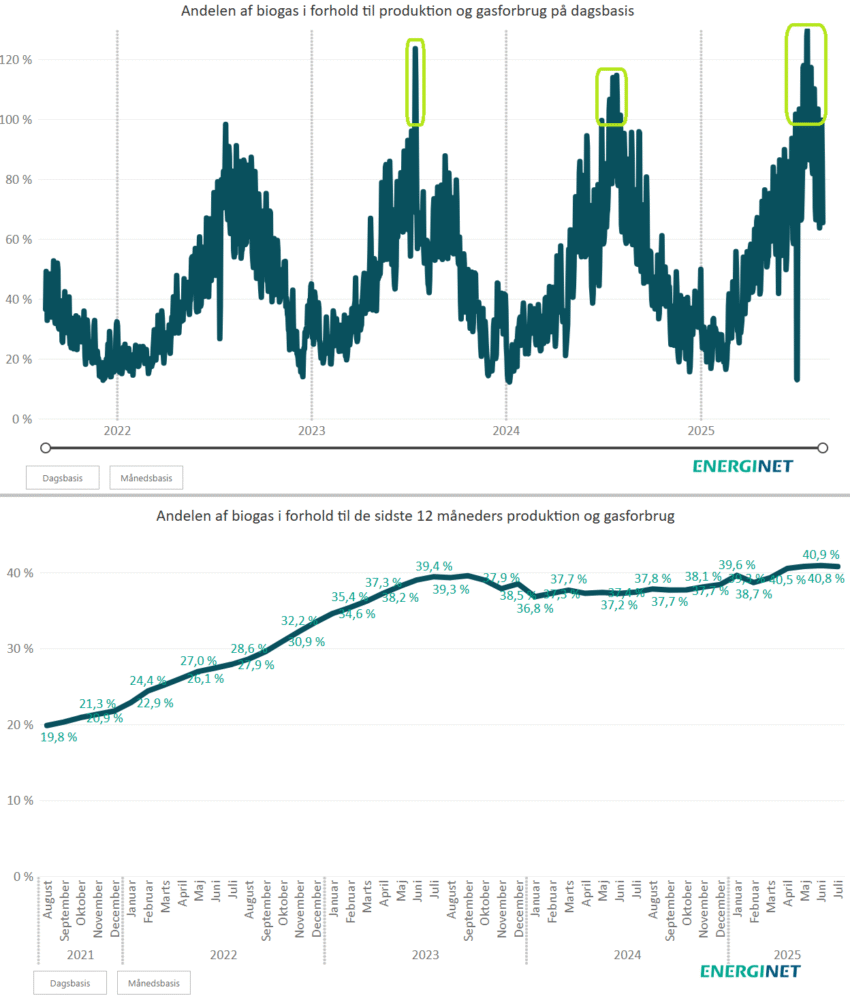 Graf med biogas-andel i forhold til gasforbrug, Danmark