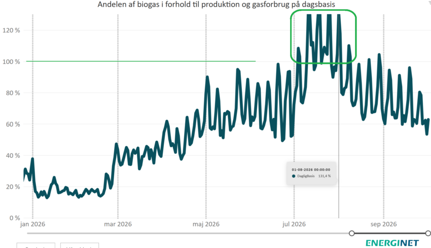 Daily share of biogas production compared to all gas